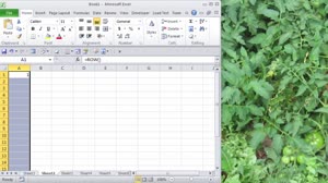 How To Insert Foreign and Special Characters when in Windows Applications