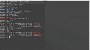 Linux/ Unix Bash Shell: Working with Files